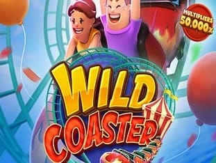 Wild Coaster game screenshot